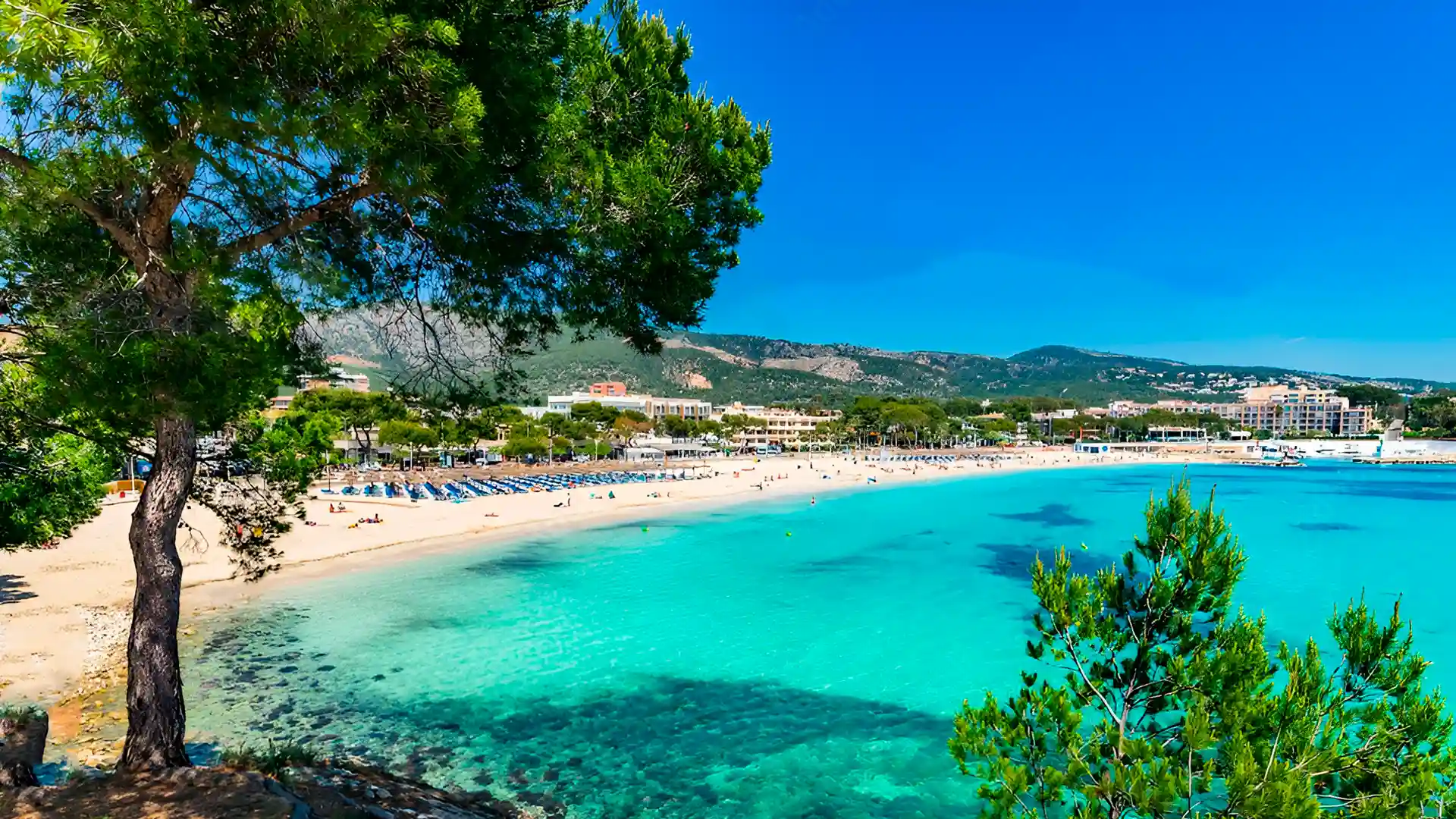 Destino palmanova Roc Hotels